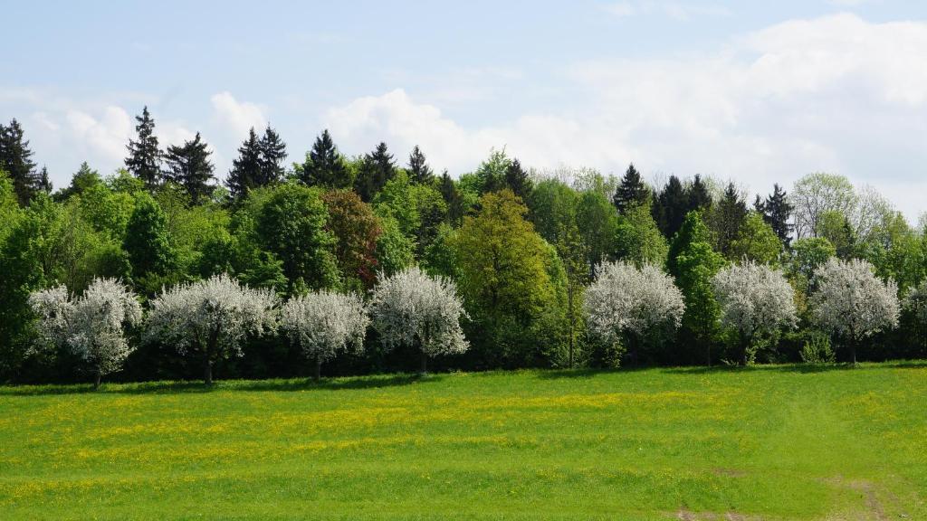 Gaestehaus Funk Bad Feilnbach Bagian luar foto