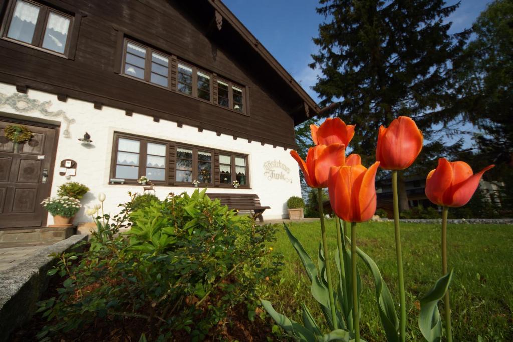 Gaestehaus Funk Bad Feilnbach Bagian luar foto