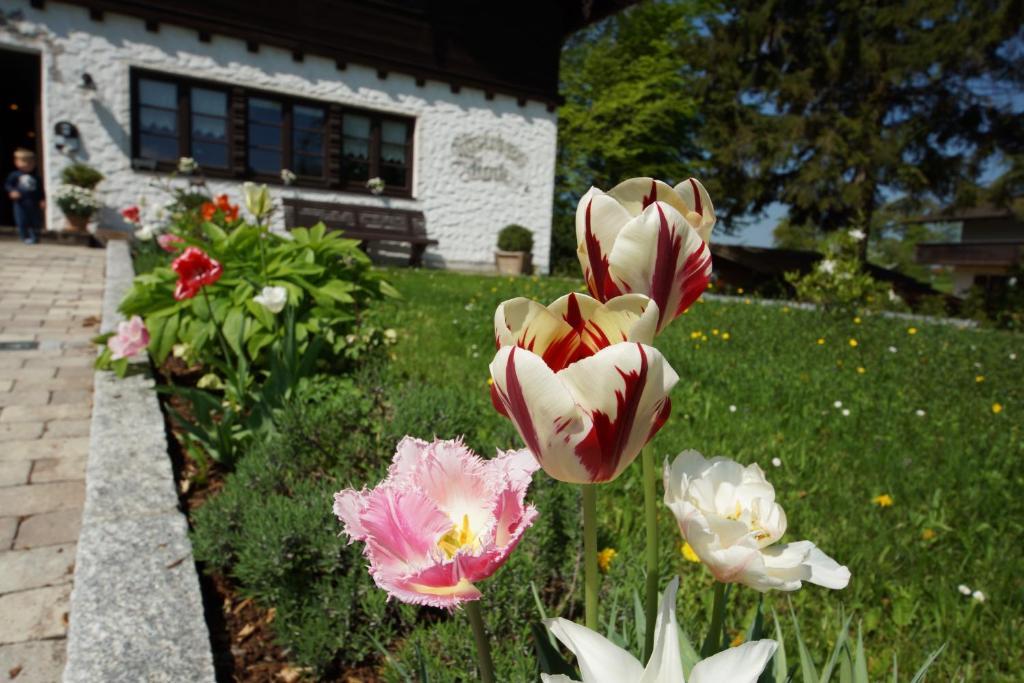 Gaestehaus Funk Bad Feilnbach Bagian luar foto